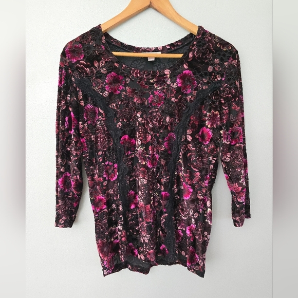 Roz Ali Velvet Burnout Shirt Blouse Women Size L Black Purple Lace Whimsigoth - Picture 1 of 10